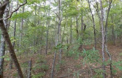 11 Doe Run, Lincolnton, GA 30817