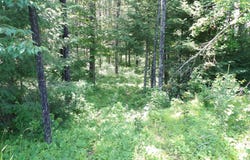 3159 CTH W, Crandon, WI 54520