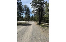 598 N Skyline Drive, South Fork, CO 81154