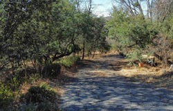 5298 Pine Hills Rd., Julian, CA 92036