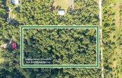 246TH ST, OBrien, FL 32071
