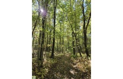 South Rd lot: 5A, Hampden, MA 01036