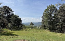 6361 Lick Fork Rd, Witt Springs, AR 72686
