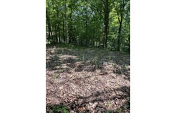 313 W Spruce Street E, Big Rapids, MI 49307