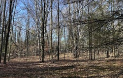 5.25 Lane, Menominee, MI 49858