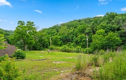 489 Mcvey Drive, Chadwick, MO 65629