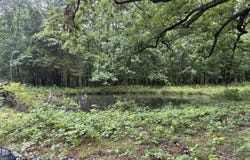N Lang /Eureka Road, Berry, KY 41003
