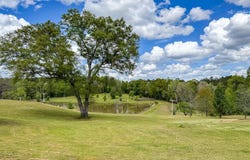 12110 Highway 10 W, Pine Hill, AL 36769