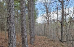 US 27, Sunbright, TN 37872