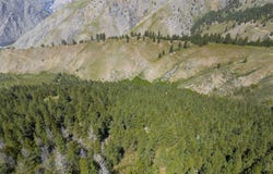 TBD Salmon River, Riggins, ID 83549