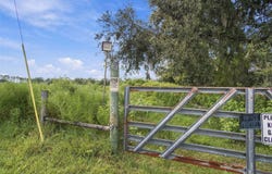 8989 EHREN CUTOFF, LAND O LAKES, FL 34639