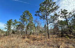 NE 150TH Court, WILLISTON, FL 32696