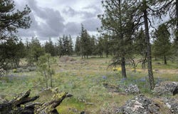 21301 S Harrison Rd, Cheney, WA 99008