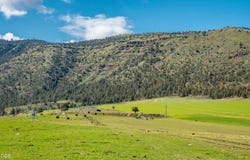 Rudio Road, Kimberly, OR 97848