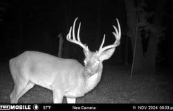 19180 E 920th Road, Humansville, MO 65674