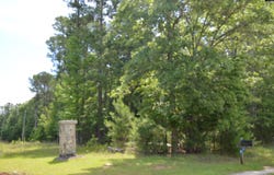 13 Colonels, Ridgeway, SC 29130