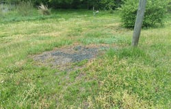 2933 KY Route-1092, Flat Gap, KY 41219
