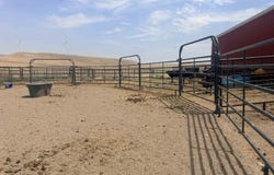 151 E 5600 N, Hagerman, ID 83332