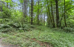 56570 NW STRASSEL Rd, ForestGrove, OR 97116
