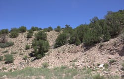 Tres Amigos, Placitas, NM 87043