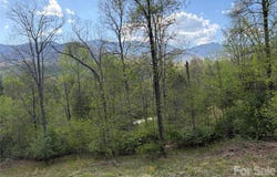 Mt. Mitchell Drive, Burnsville, NC 28714