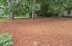 1115 Hargrove Street, Rocky Mount, NC 27801