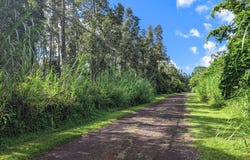 COOK ST, Pahoa, HI 96778