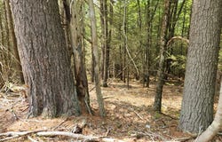 Highland Lake, Eldred, NY 12732