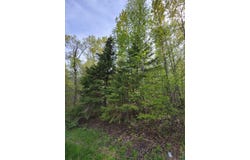 72XX E Superior St, Duluth, MN 55804