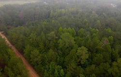 96 Pine Tree Ln, Chesterfield, SC 29709