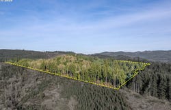 Holly - Lot 2, CottageGrove, OR 97424