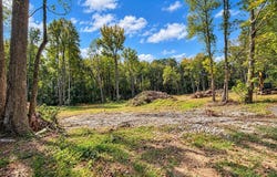 Arrowhead lot #34, Winfield, AL 35594