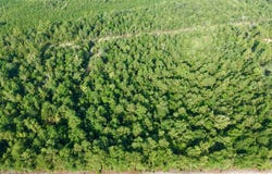 Charleston Highway, Williston, SC 29853