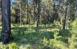 17310 Guss Way, Bend, OR 97707