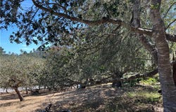 Pierce Avenue, Cambria, CA 93428