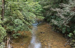 Twin Bridge Rd, Deer Lodge, TN 37726