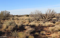CCR Unit 2 lot: 224, Heber, AZ 85928