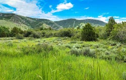 Green Canyon Rd, Inkom, ID 83245