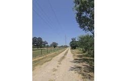 Fox Trotter, Seguin, TX 78155