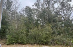 7466 TREIMAN Boulevard, WEBSTER, FL 33597