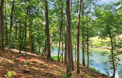 Overlook Way, Ellijay, GA 30540