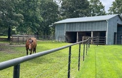 8041 U.S. 62, Glencoe, AR 72539