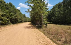 Autumnwood Road, Ash Flat, AR 72513