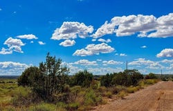 Hay Hollow Rd 20 Acres, Snowflake, AZ 85937