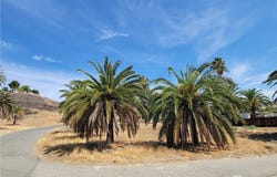 Shrier, Lake Elsinore, CA 92530