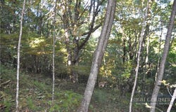 E Whenlin Ridge Road, Lansing, NC 28643