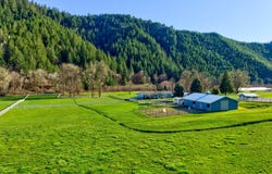 11119 N MYRTLE Rd, MyrtleCreek, OR 97457