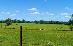 CR 3561, Sulphur Bluff, TX 75481