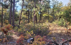 605 PINE CREEK Rd, Bickleton, WA 99322