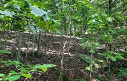 Wildhaven Road, Mountain View, AR 72560